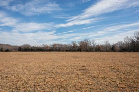 764 Briar Pond Rd, Centerville, TN 37033 photo 7
