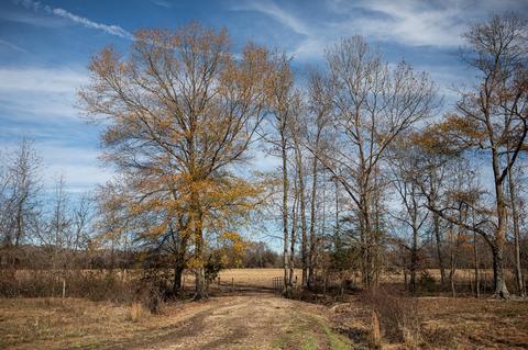 764 Briar Pond Rd, Centerville, TN 37033 photo 13