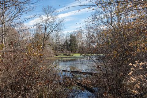 764 Briar Pond Rd, Centerville, TN 37033 photo 9