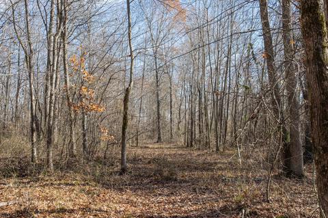 764 Briar Pond Rd, Centerville, TN 37033 photo 10