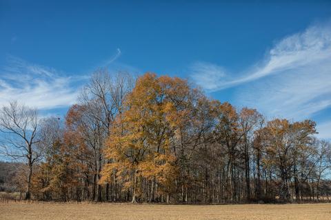 764 Briar Pond Rd, Centerville, TN 37033 photo 5