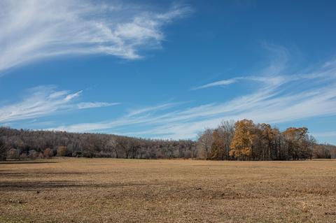 764 Briar Pond Rd, Centerville, TN 37033 photo 8