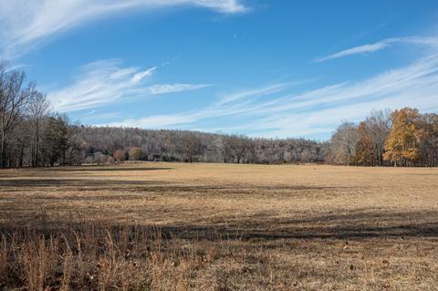 764 Briar Pond Rd, Centerville, TN 37033 photo 15
