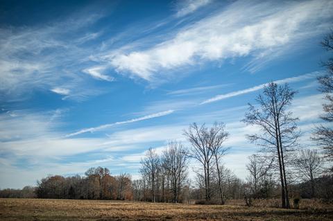 764 Briar Pond Rd, Centerville, TN 37033 photo 2