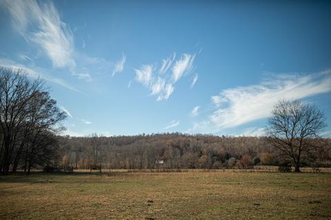 764 Briar Pond Rd, Centerville, TN 37033 photo 4