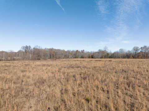 764 Briar Pond Rd, Centerville, TN 37033 photo 20