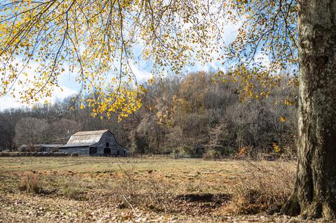 764 Briar Pond Rd, Centerville, TN 37033 photo 1