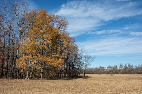 764 Briar Pond Rd, Centerville, TN 37033 photo 6