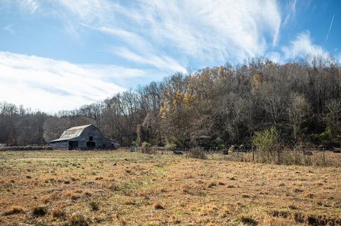 764 Briar Pond Rd, Centerville, TN 37033 photo 16