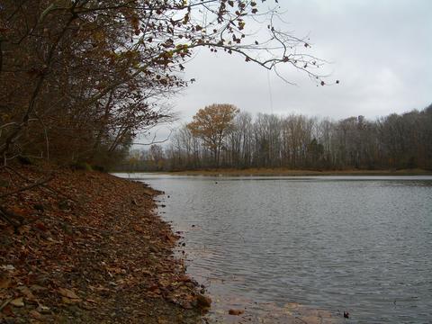 65 Eagles View Dr, Cadiz, KY 42211