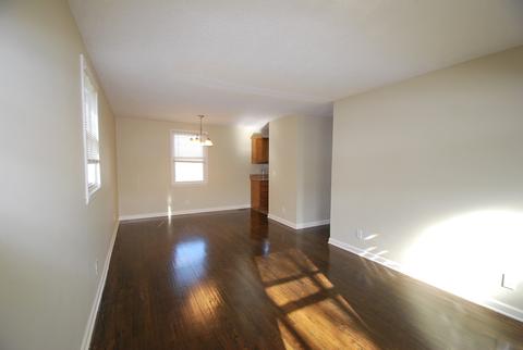 802 10th Ave E, Springfield, TN 37172 photo 6