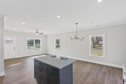 204 15th Ave E, Springfield, TN 37172 photo 10
