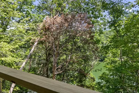 424 Ed Phifer, Quebeck, TN 38579 photo 58