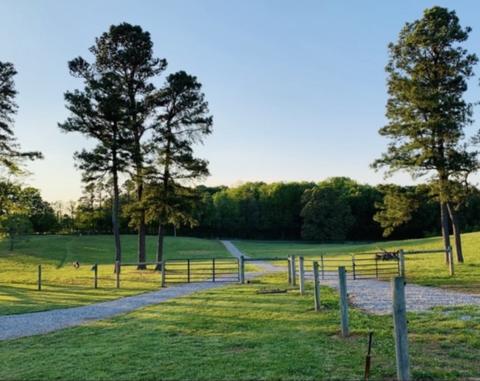 4729 Benson Rd, Springfield, TN 37172 photo 14