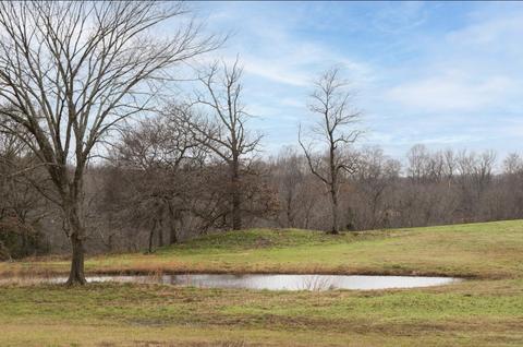 997 Rogues Fork Rd, Bethpage, TN 37022 photo 44