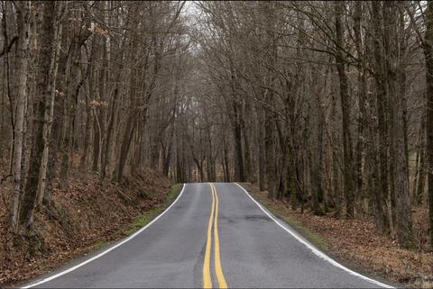 997 Rogues Fork Rd, Bethpage, TN 37022 photo 30