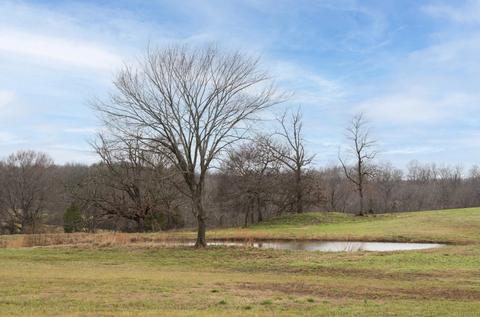 997 Rogues Fork Rd, Bethpage, TN 37022 photo 45