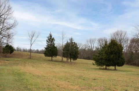 997 Rogues Fork Rd, Bethpage, TN 37022 photo 43