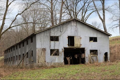 997 Rogues Fork Rd, Bethpage, TN 37022 photo 37