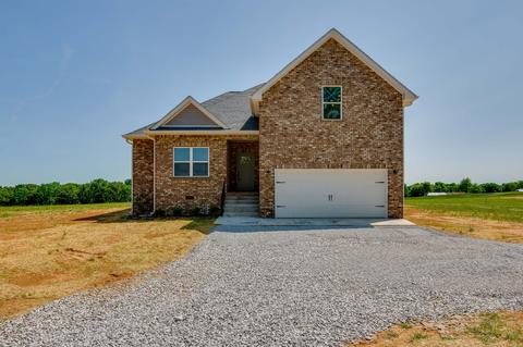 4393 Benson Rd, Springfield, TN 37172 photo 4