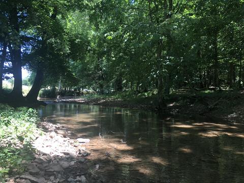 1123 Maxwell Branch Rd, Cottontown, TN 37048