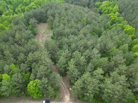 0 Ary Cemetary Rd, Linden, TN 37096
