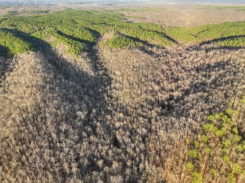 0 Blue Buck Crk, Duck River, TN 38454