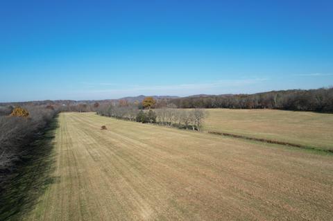 5 Trinity Rd, Franklin, TN 37064 photo 4
