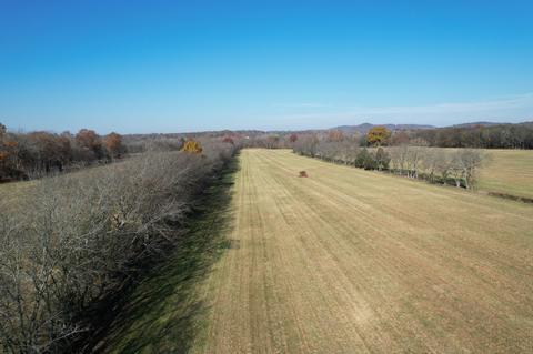 5 Trinity Rd, Franklin, TN 37064 photo 9