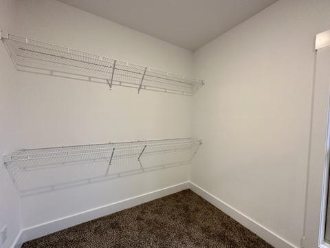 1729 Cypress Leaf Ln, Murfreesboro, TN 37130 photo 19