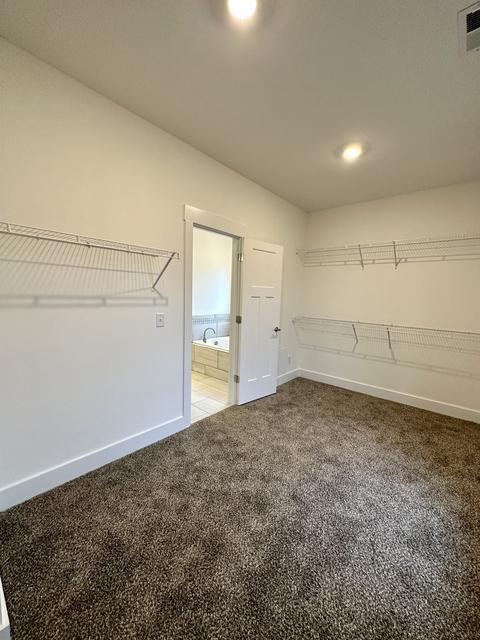 1729 Cypress Leaf Ln, Murfreesboro, TN 37130 photo 20