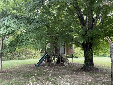 828 Rabbit Trail Rd, Five Points, TN 38457 photo 4