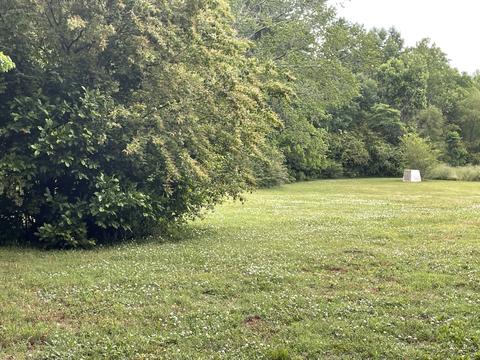 828 Rabbit Trail Rd, Five Points, TN 38457 photo 3
