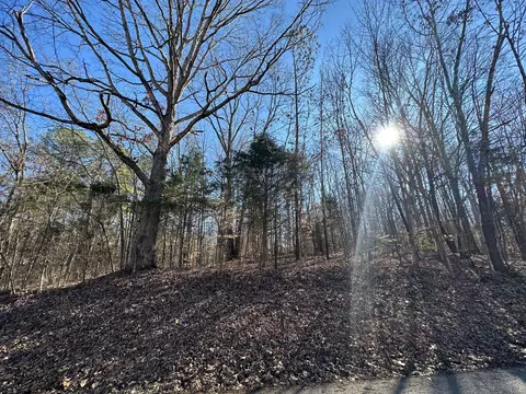 0 Pulley, Erin, TN 37061