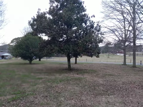891 Nance Rd, Pulaski, TN 38478 photo 26