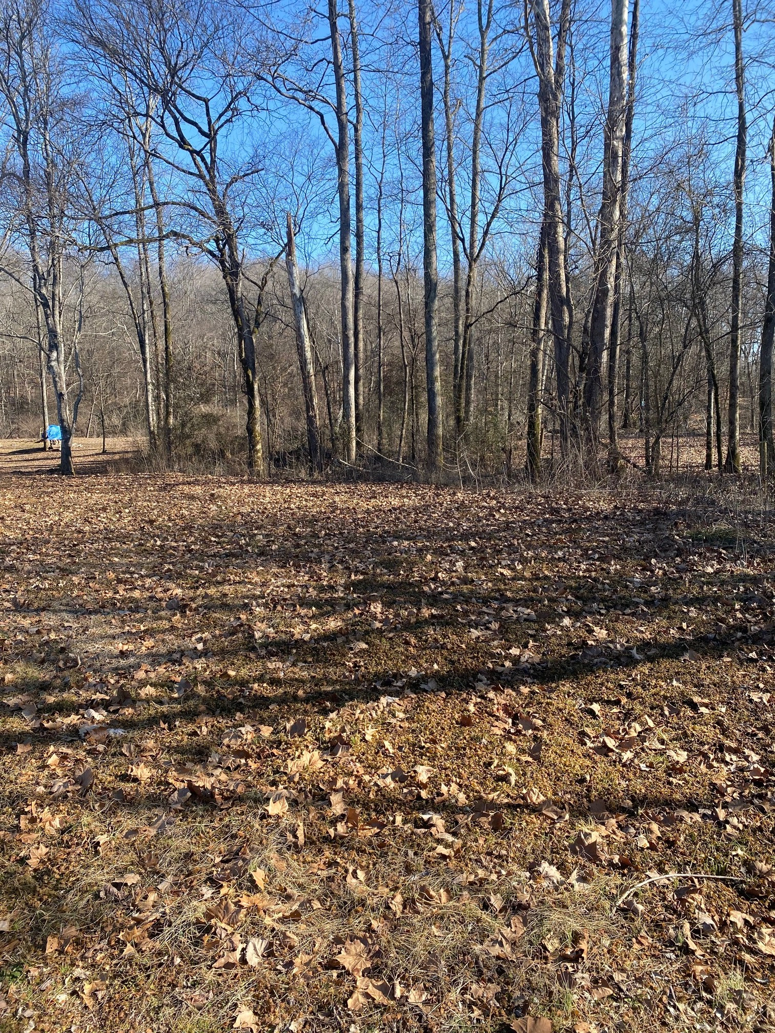 10 Lot Owners RD  