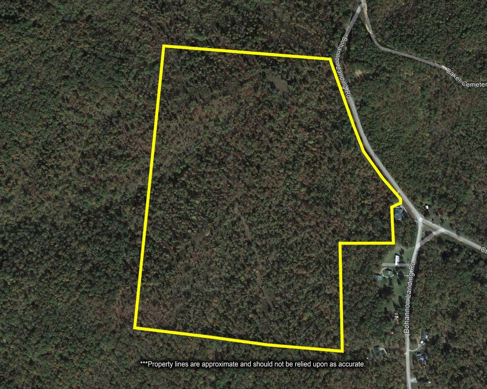 0 Bohannon Landing Rd, Sugar Tree, TN 38380 1 photo MLS 2477078