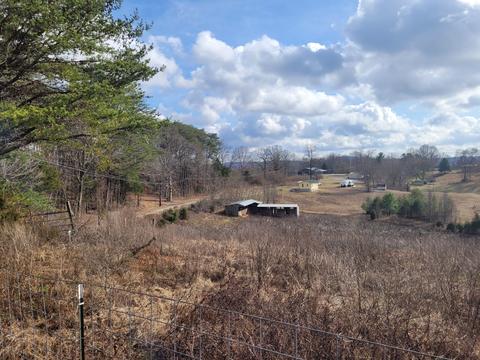 755 Winstead Rd, Quebeck, TN 38579 photo 4