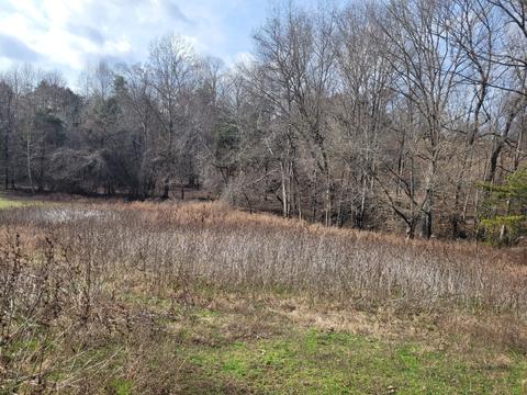 755 Winstead Rd, Quebeck, TN 38579 photo 6