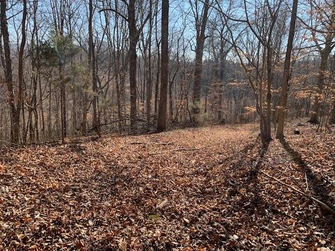 6524 Cherry Creek Rd, Cookeville, TN 38506