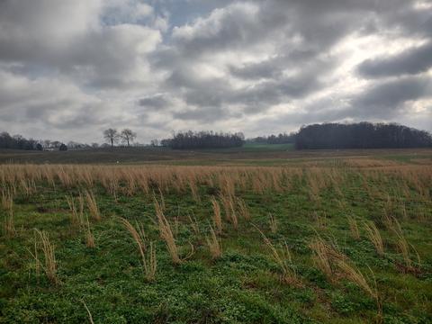 9 Highway161, Springfield, TN 37172 photo 3