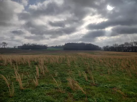 10 Highway161, Springfield, TN 37172 photo 2