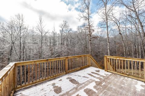 805 Ruby Way, White Bluff, TN 37187 photo 34
