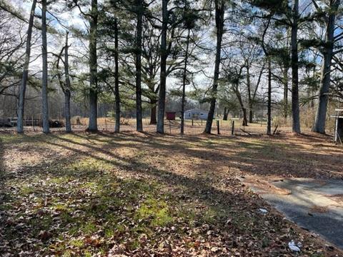 106 Darwin St, Decherd, TN 37324 photo 14