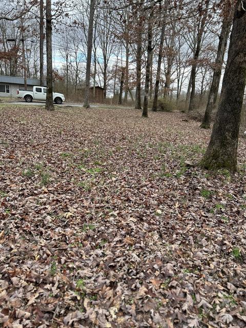89 N 40th Ave, Gruetli Laager, TN 37339