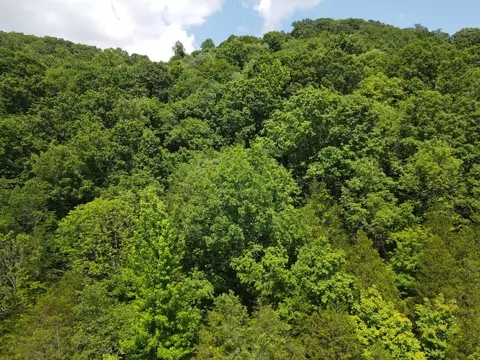 3400 Sycamore Creek Rd, Woodbury, TN 37190