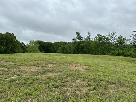 0 Shrum Hollow Rd, Lafayette, TN 37083