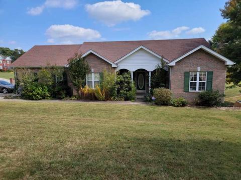 100 Lena Loop, Burns, TN 37029 photo 1