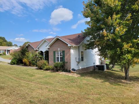 100 Lena Loop, Burns, TN 37029 photo 2