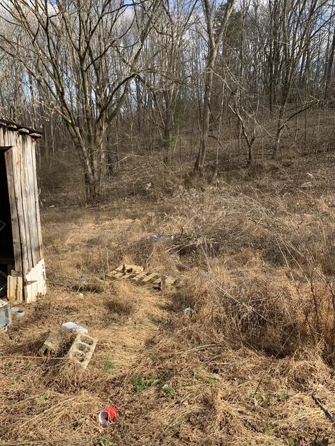 72 Rogers Rd, Moss, TN 38575 photo 7